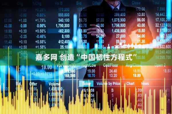 嘉多网 创造“中国韧性方程式”