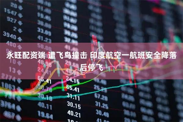 永旺配资端 遭飞鸟撞击 印度航空一航班安全降落后停飞