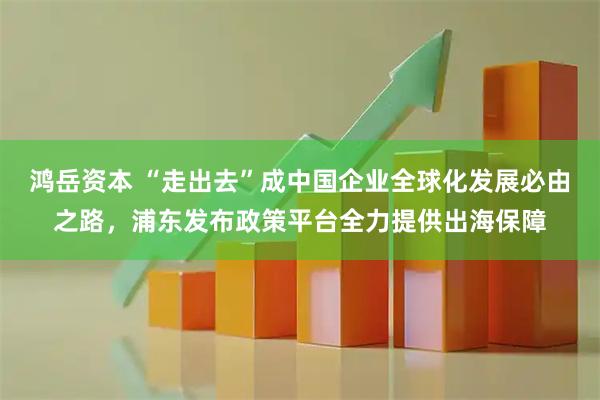 鸿岳资本 “走出去”成中国企业全球化发展必由之路，浦东发布政策平台全力提供出海保障