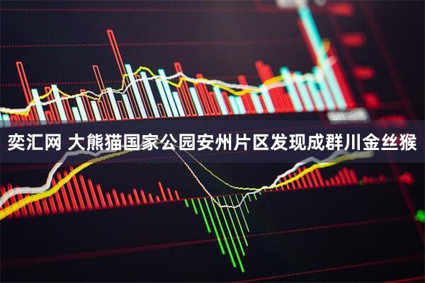 奕汇网 大熊猫国家公园安州片区发现成群川金丝猴
