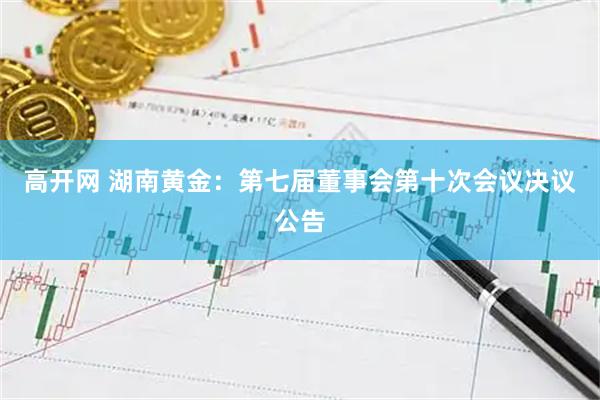 高开网 湖南黄金：第七届董事会第十次会议决议公告