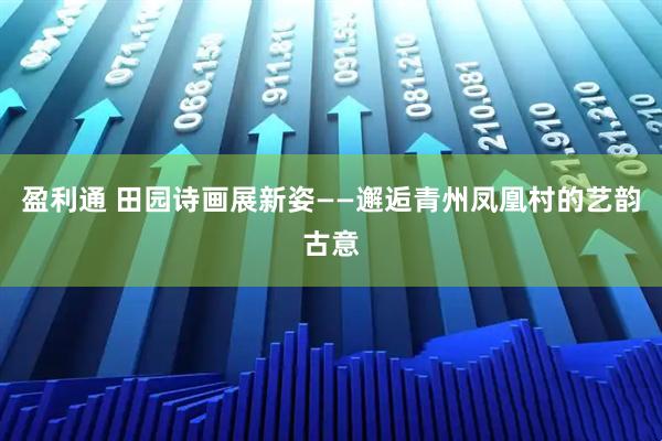 盈利通 田园诗画展新姿——邂逅青州凤凰村的艺韵古意