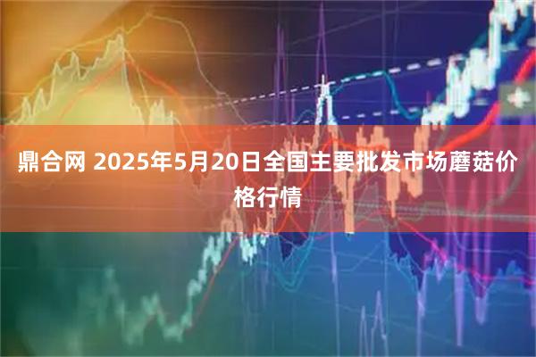 鼎合网 2025年5月20日全国主要批发市场蘑菇价格行情