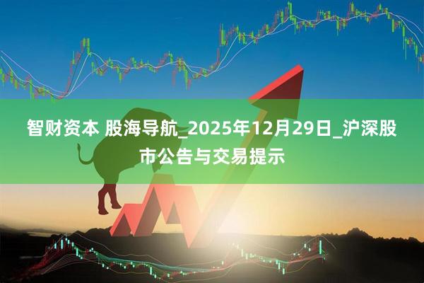 智财资本 股海导航_2025年12月29日_沪深股市公告与交易提示